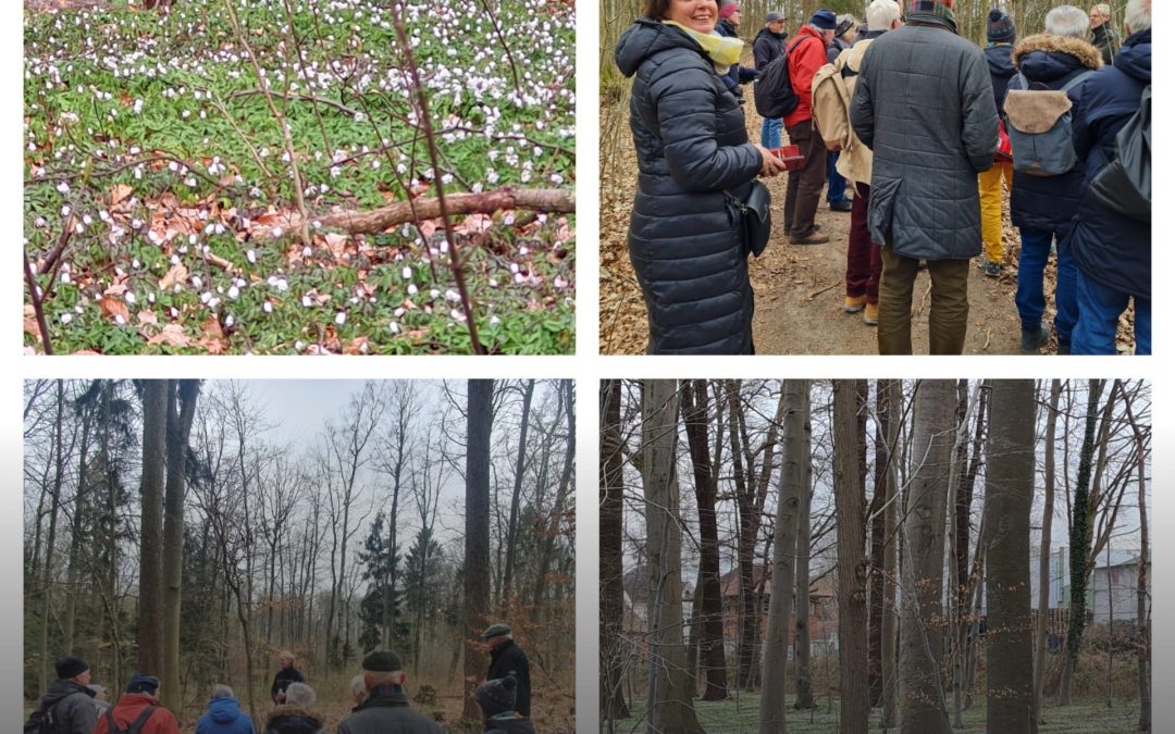 ZUKUNFTSTHEMA: Stadtentwicklung und Natur